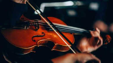 Violin