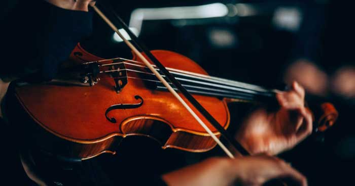 Violin
