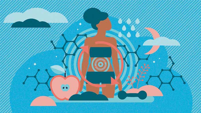 metabolism