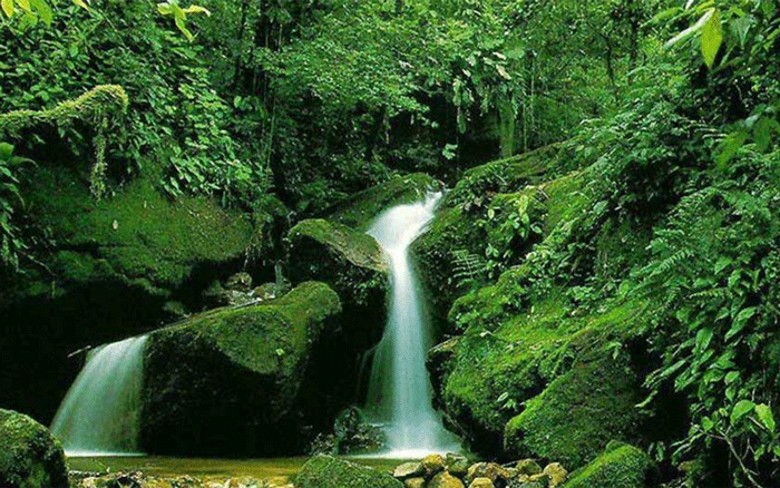 جاذبه طبیعی