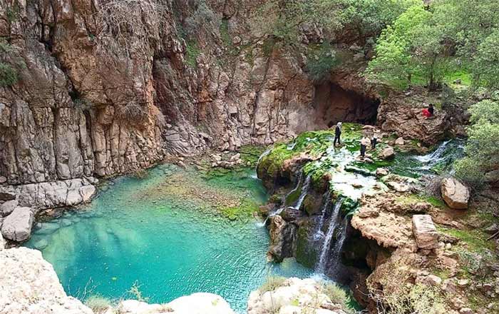 تنگ دم اسب