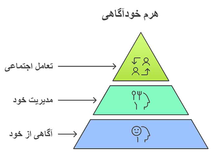 اینفوگرافیک مثلث خوداگاهی