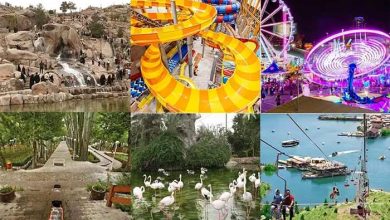 مکان های هیجان انگیز مشهد