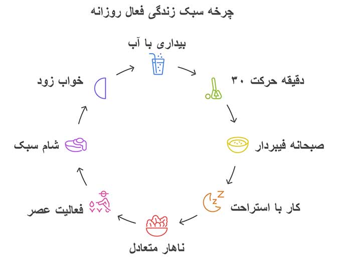 اینفوگرافیک چرخه سبک زندگی فعال روزانه 